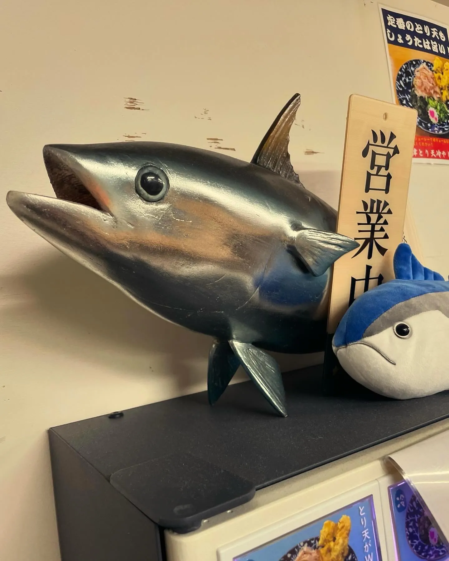 テレビ出ます📺